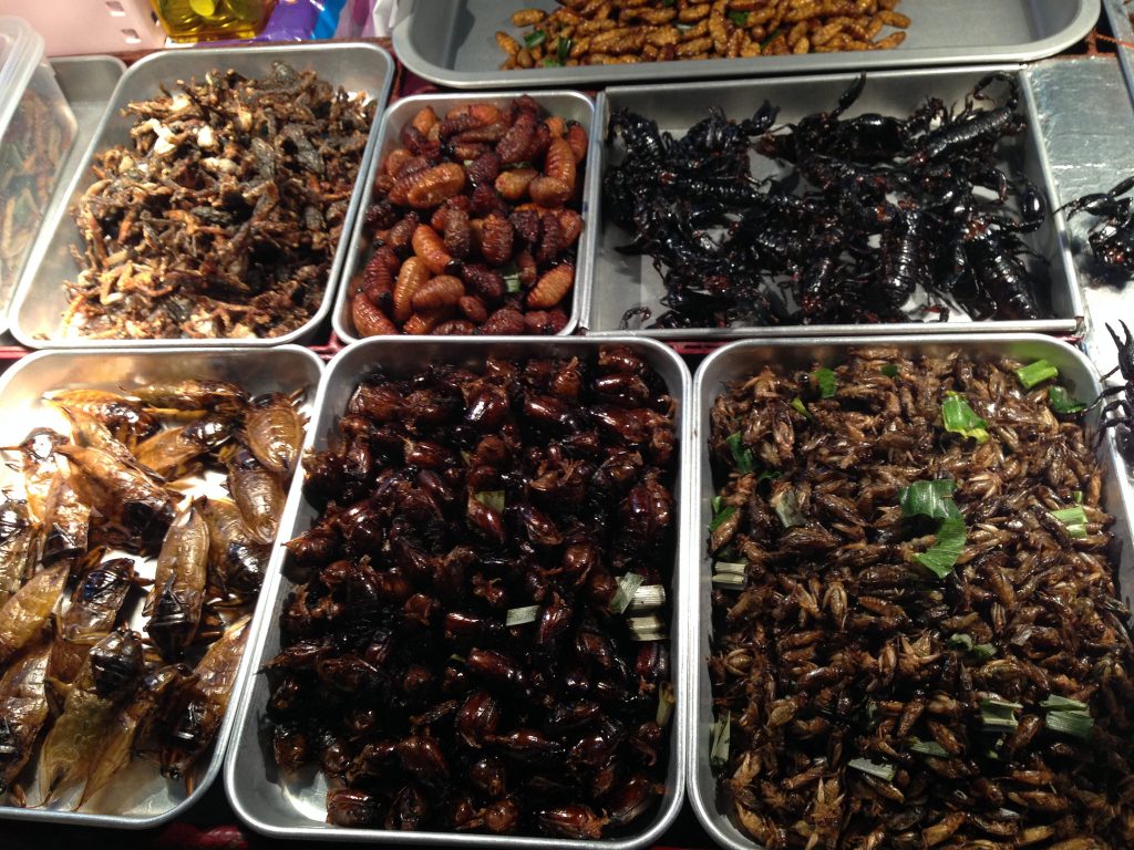 22588169279_4b8ef10256_k