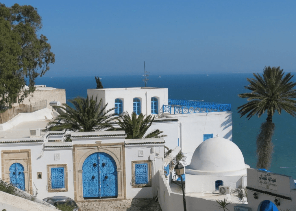 visita a cartago y sidi bou said